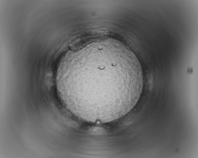 X0000112830224200909111407