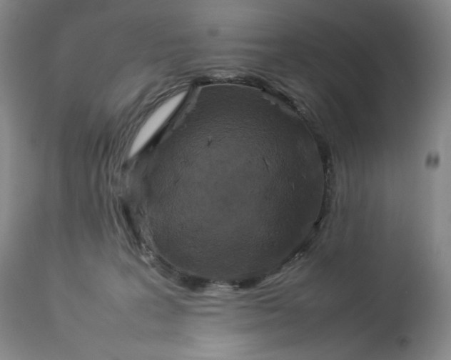 X0000112830227200909111406