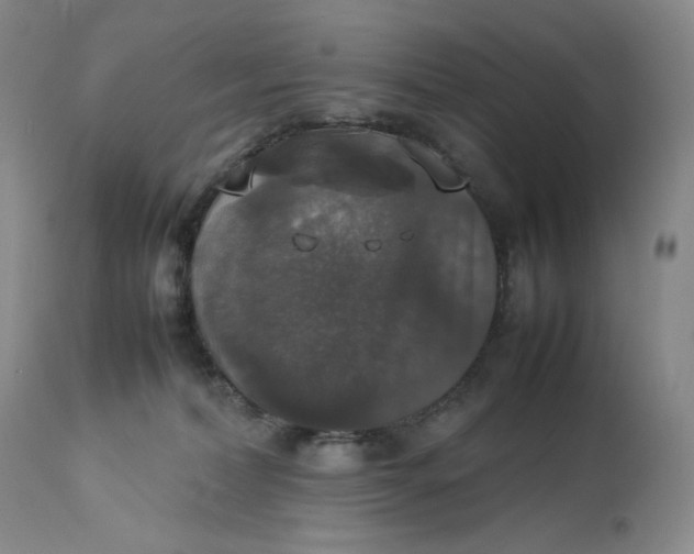 X0000112830228200909111406