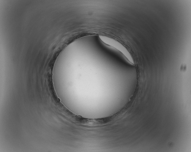 X0000112830229200909111406