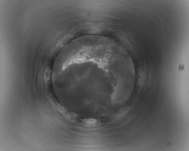 X0000112830230200909111406