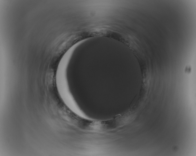 X0000112830231200909111406