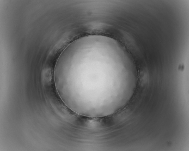 X0000112830232200909111406