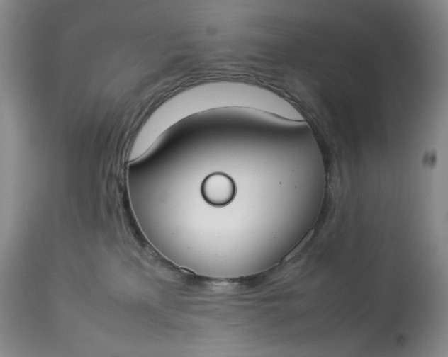 X0000112830233200909111406