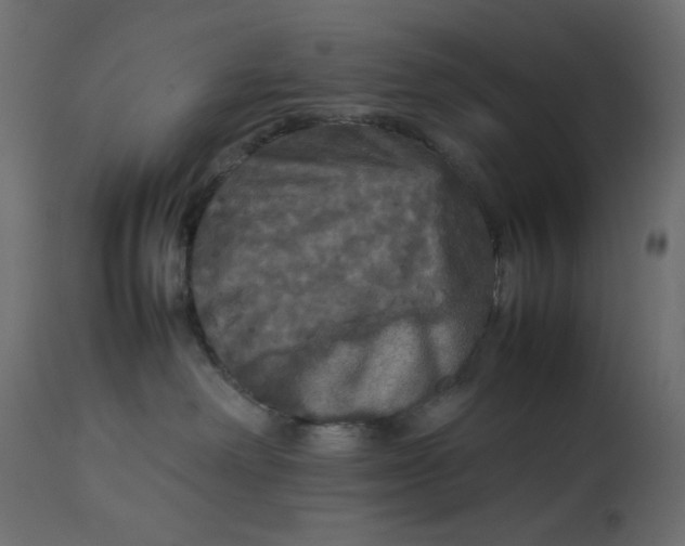 X0000112830238200909111406