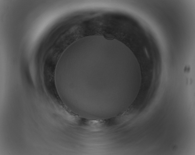 X0000112830239200909111406