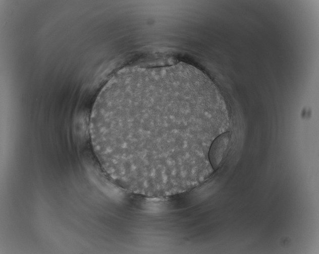 X0000112830240200909111406