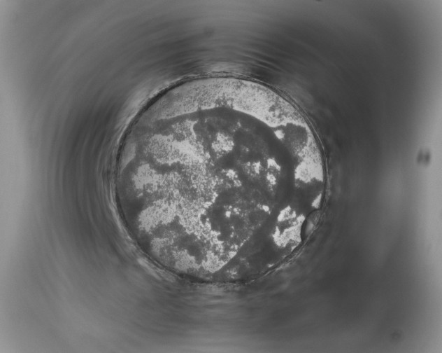 X0000112830241200909111405