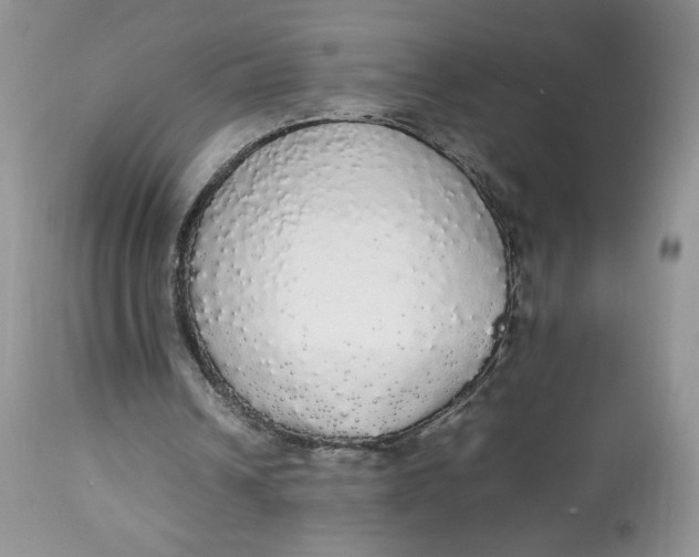 X0000112830242200909111405