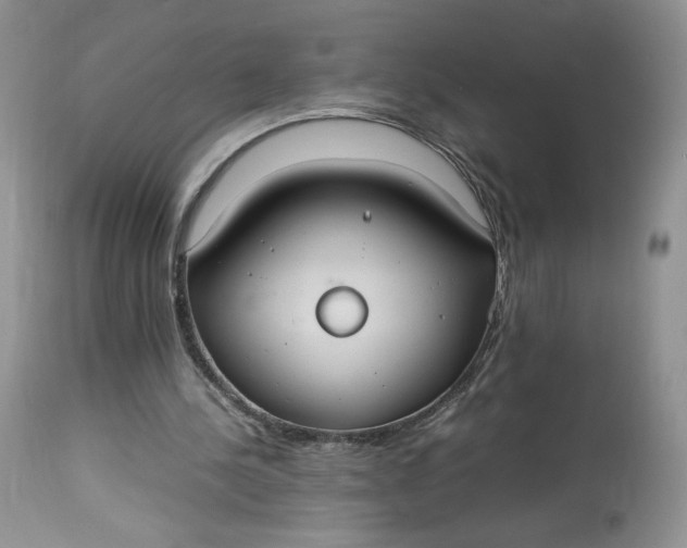 X0000112830244200909111405