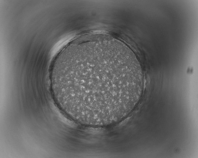 X0000112830245200909111405