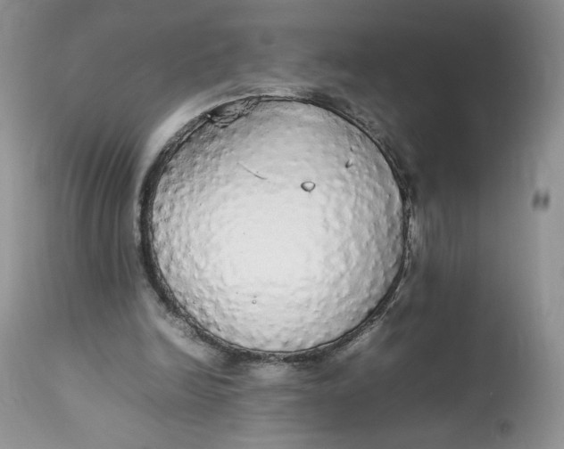 X0000112830246200909111405