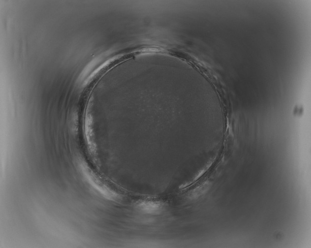 X0000112830247200909111406