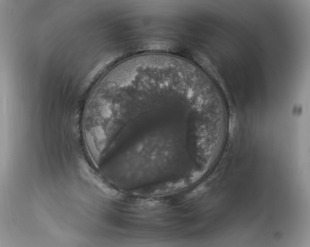 X0000112830249200909111406