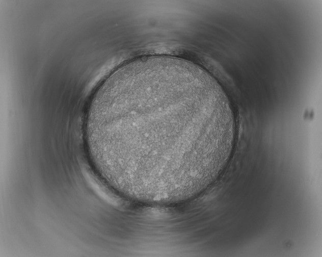 X0000112830250200909111406