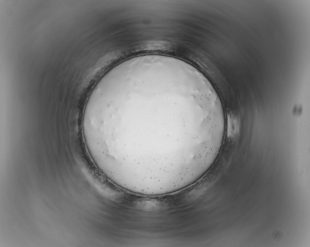 X0000112830253200909111406