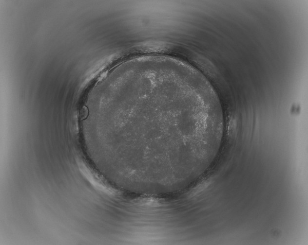 X0000112830254200909111406