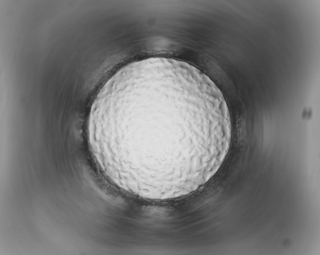 X0000112830255200909111406