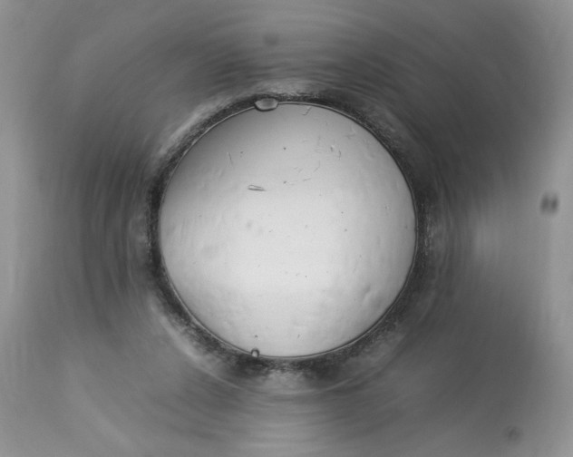 X0000112830256200909111406