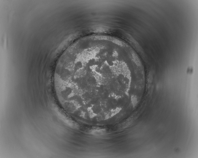 X0000112830257200909111406