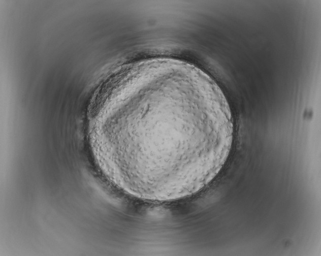 X0000112830258200909111406