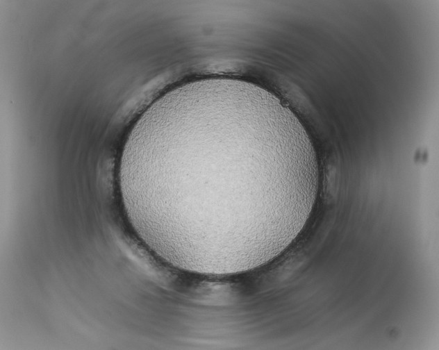 X0000112830260200909111406