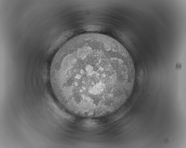 X0000112830261200909111406