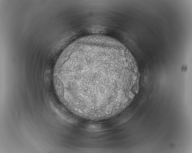 X0000112830263200909111406