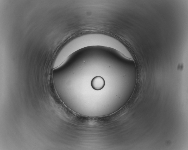 X0000112830264200909111406