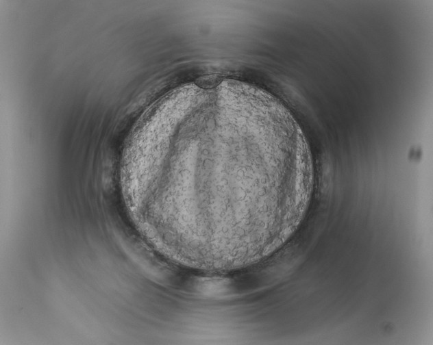 X0000112830266200909111406