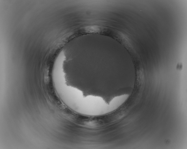 X0000112830267200909111406