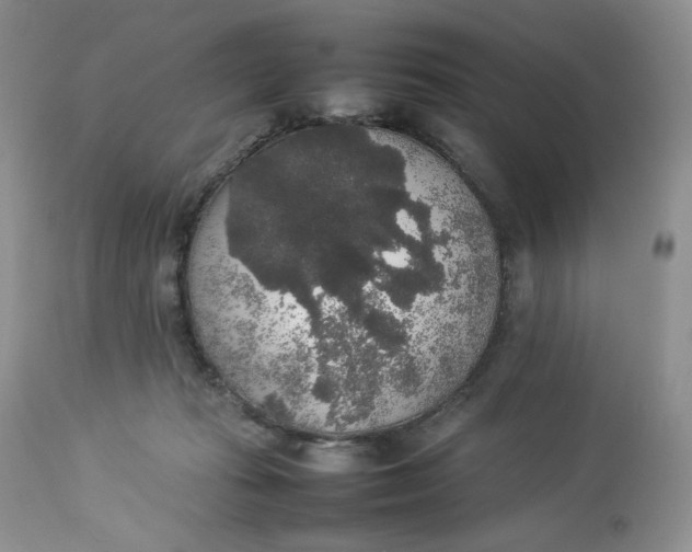 X0000112830269200909111406