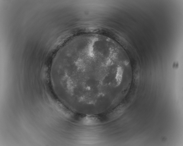 X0000112830270200909111406