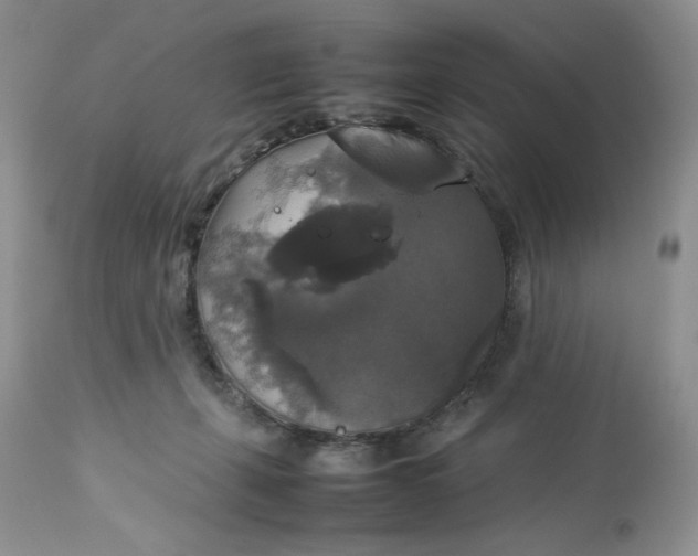 X0000112830271200909111406