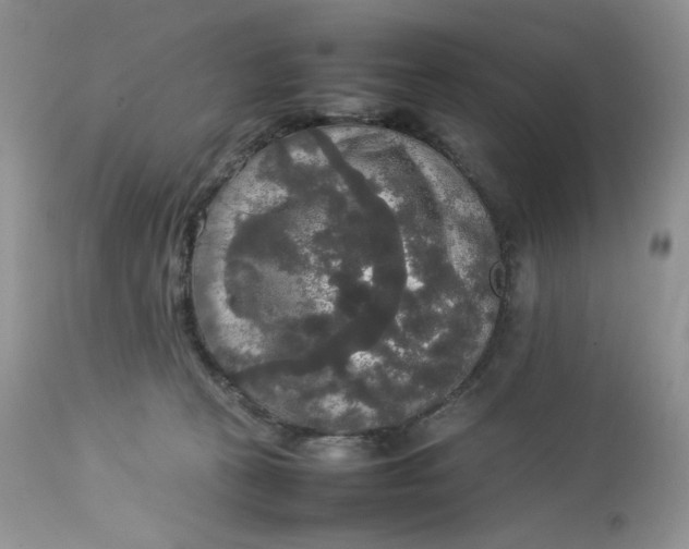 X0000112830273200909111406