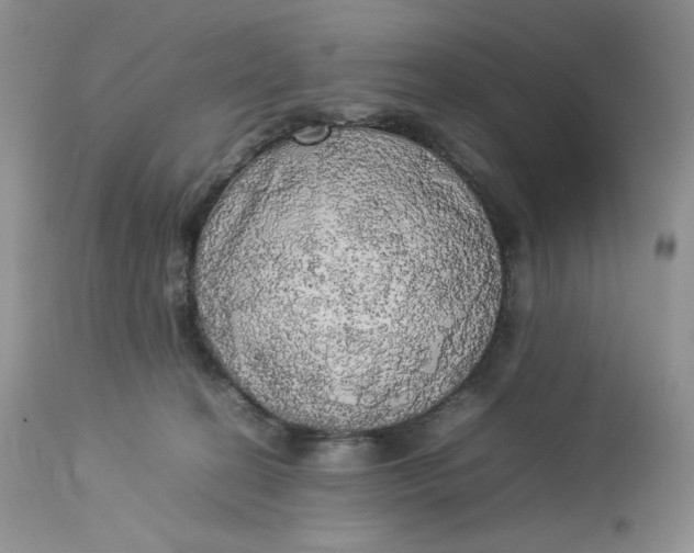 X0000112830274200909111406