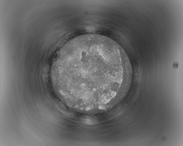 X0000112830275200909111406