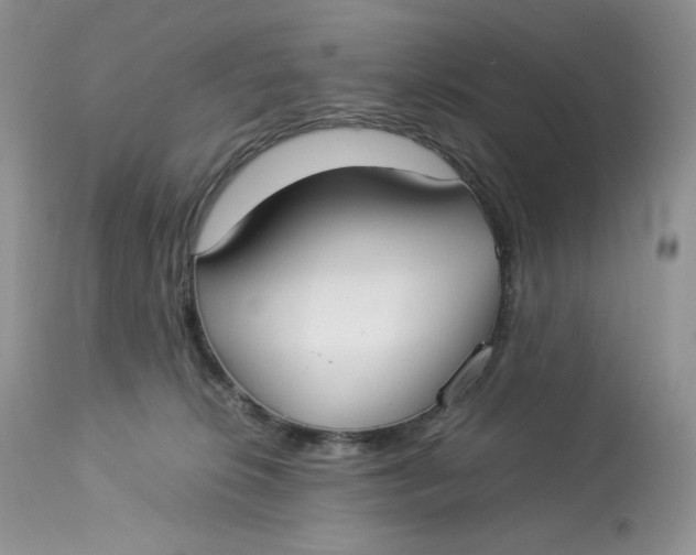 X0000112830276200909111406