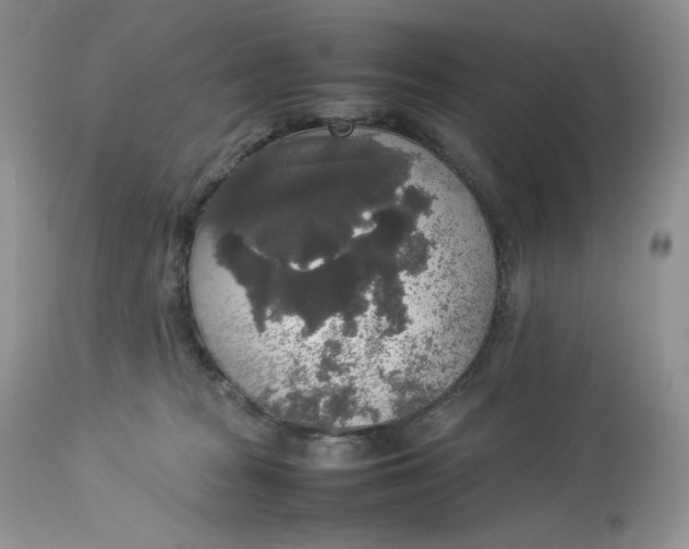 X0000112830277200909111406