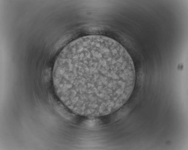 X0000112830278200909111406