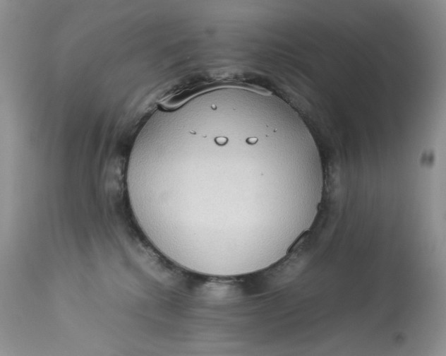 X0000112830280200909111406