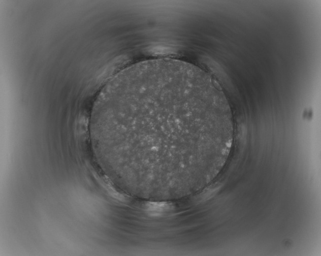 X0000112830281200909111406