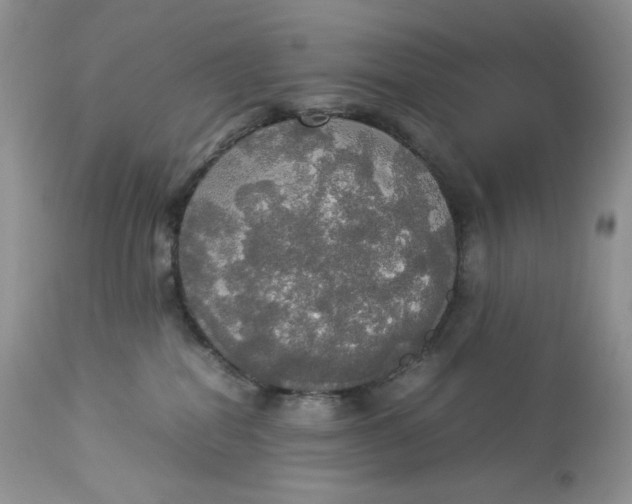 X0000112830282200909111406