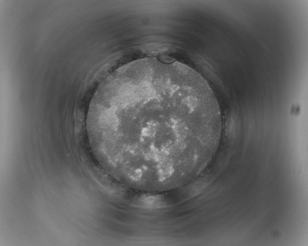 X0000112830283200909111406