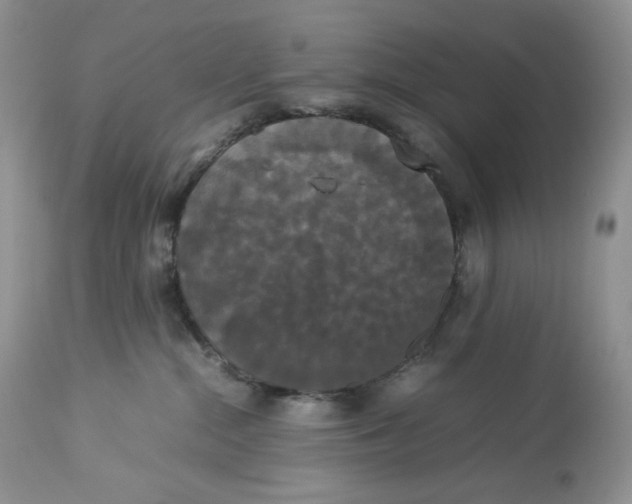 X0000112830284200909111406