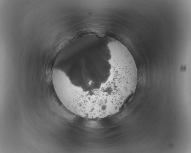 X0000112830285200909111406