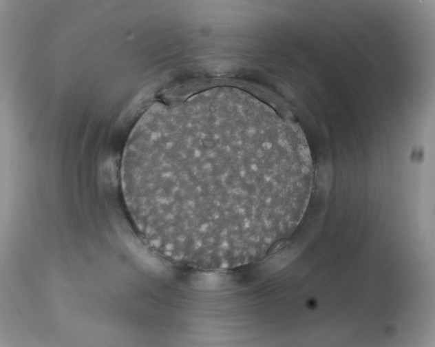 X0000112830286200909111406