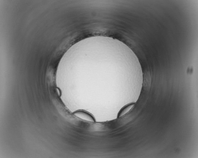 X0000112830287200909111406