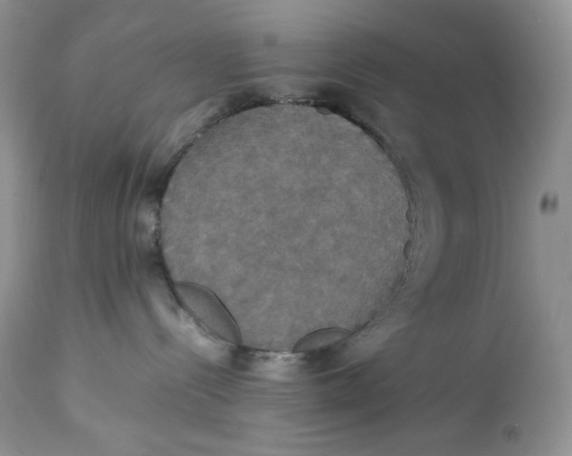 X0000112830288200909111406