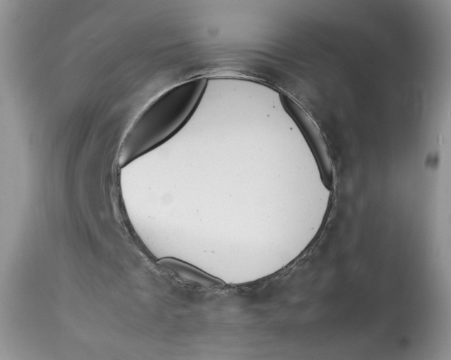 X0000112830289200909111405